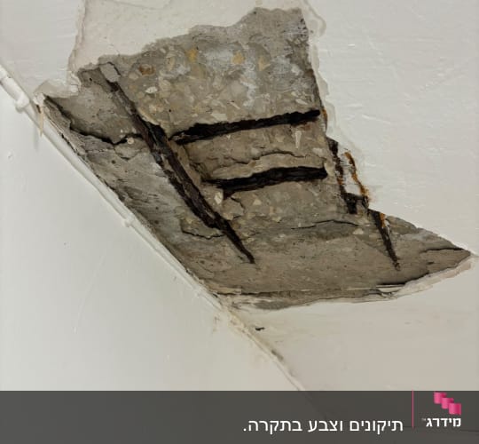 תקרה עם קילוף טיח וברזלים חשופים
